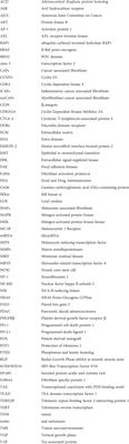 Role of extracellular matrix architecture and signaling in melanoma therapeutic resistance